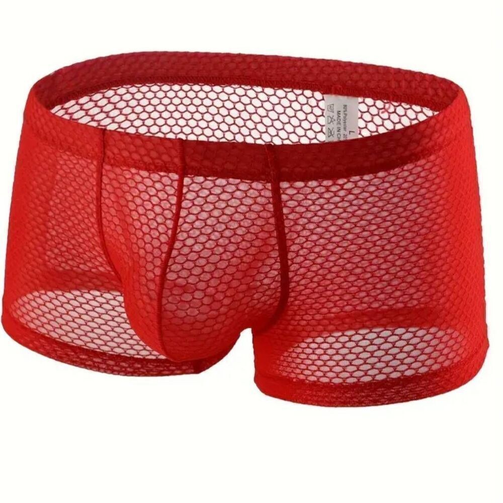 Mesh Red Mens Short Lingerie Brief Large -J